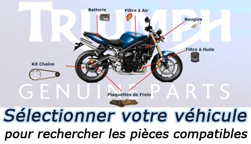 tour de cou triumph